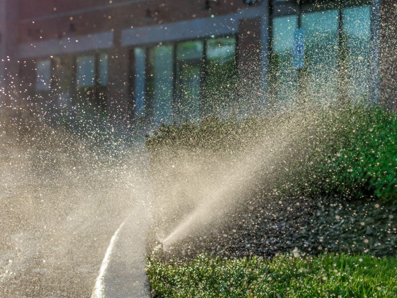 Installation Système Arrosage
